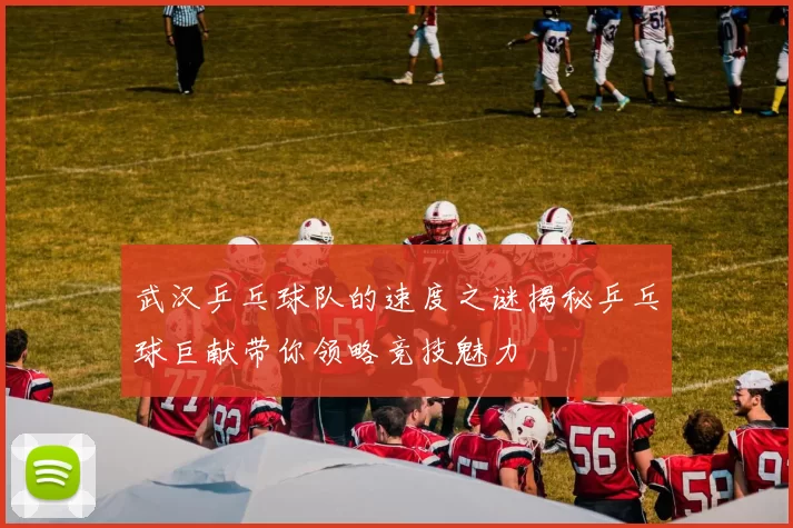 武汉乒乓球队的速度之谜揭秘乒乓球巨献带你领略竞技魅力