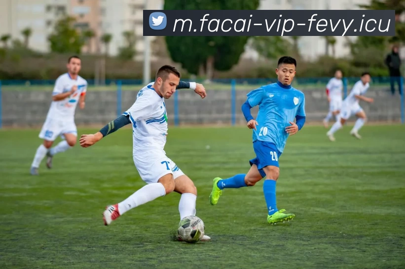 星空体育服务体系